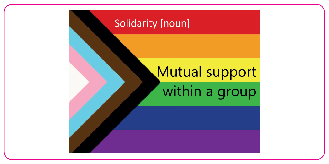 A Sticker which reads: Solidarity - Quasar Flag
